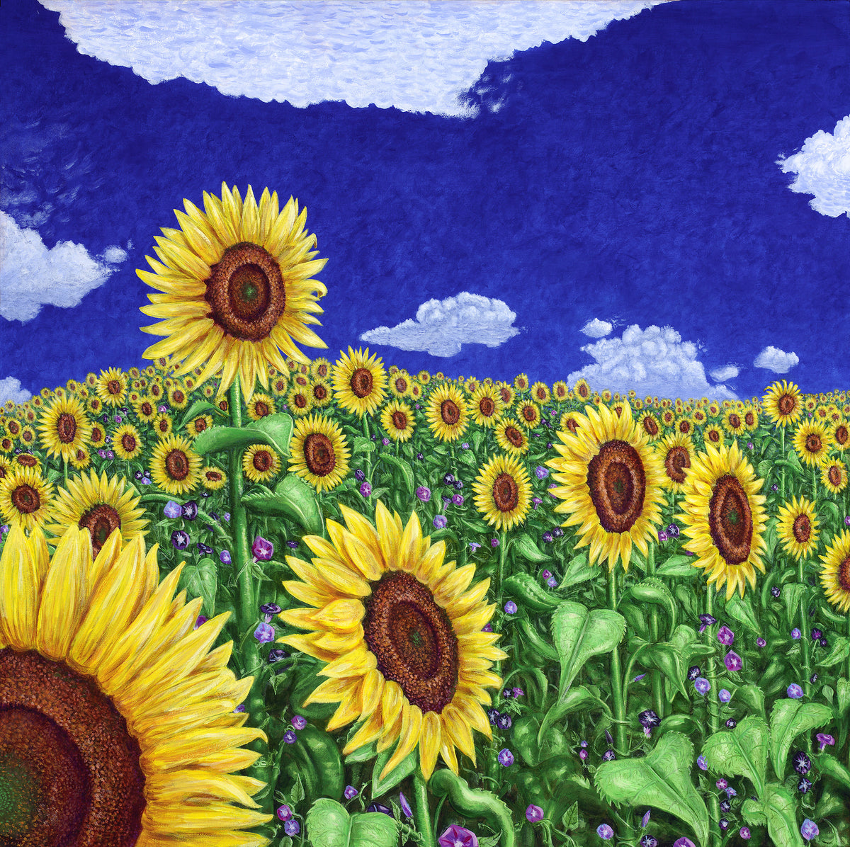 Warm Faces Triptych – The Art of Scott Tuckfield