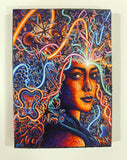 "Any Given Moment" Magnet