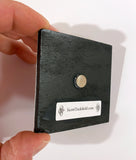 "Nocturne" Magnet