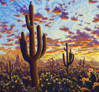 "Superbloom" Signed & Numbered Limited Edition Prints