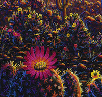 "Superbloom" Signed & Numbered Limited Edition Prints