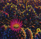 "Superbloom" Signed & Numbered Limited Edition Prints
