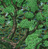 The Babbling Brook