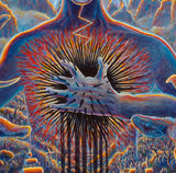"Misanthropic Bodhisattva"