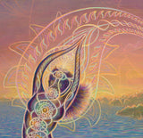 "Moondancer" Open Edition Prints