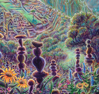 "The Cairns: Machu Picchu"