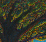 "The Golden Hour" Open Edition Prints