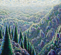 "The Scent of Spruce" Open Edition Prints