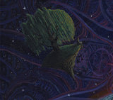 "The Wandering Willow II: Dawn" Open Edition Prints
